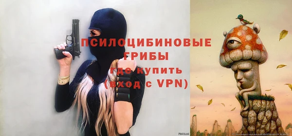 гашик Алексин