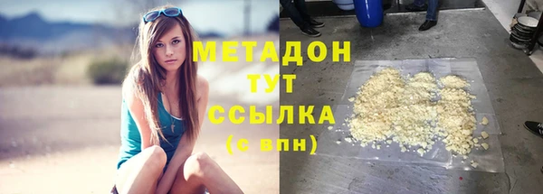 гашик Алексин