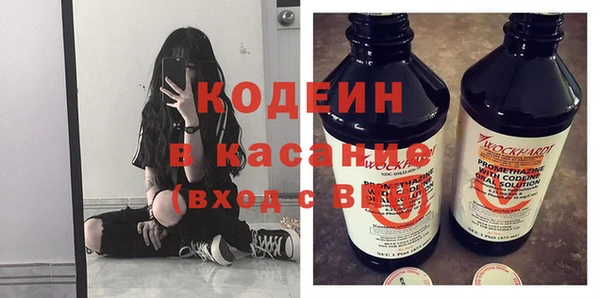 гашик Алексин