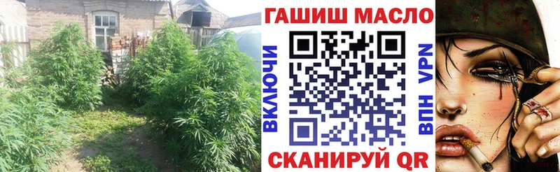 сколько стоит  Грязовец  Дистиллят ТГК концентрат 