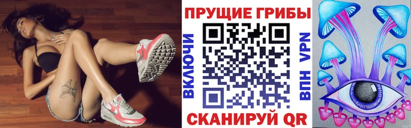 Псилоцибиновые грибы Psilocybine cubensis  Грязовец 