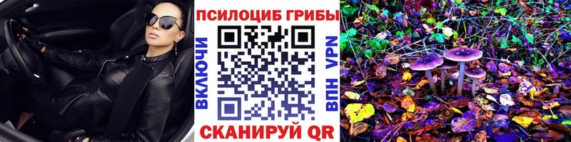 Галлюциногенные грибы Cubensis Грязовец