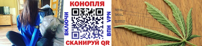 Канабис планчик Грязовец
